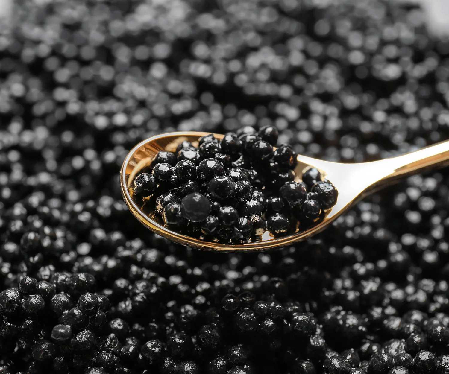 Gourmet Caviar
